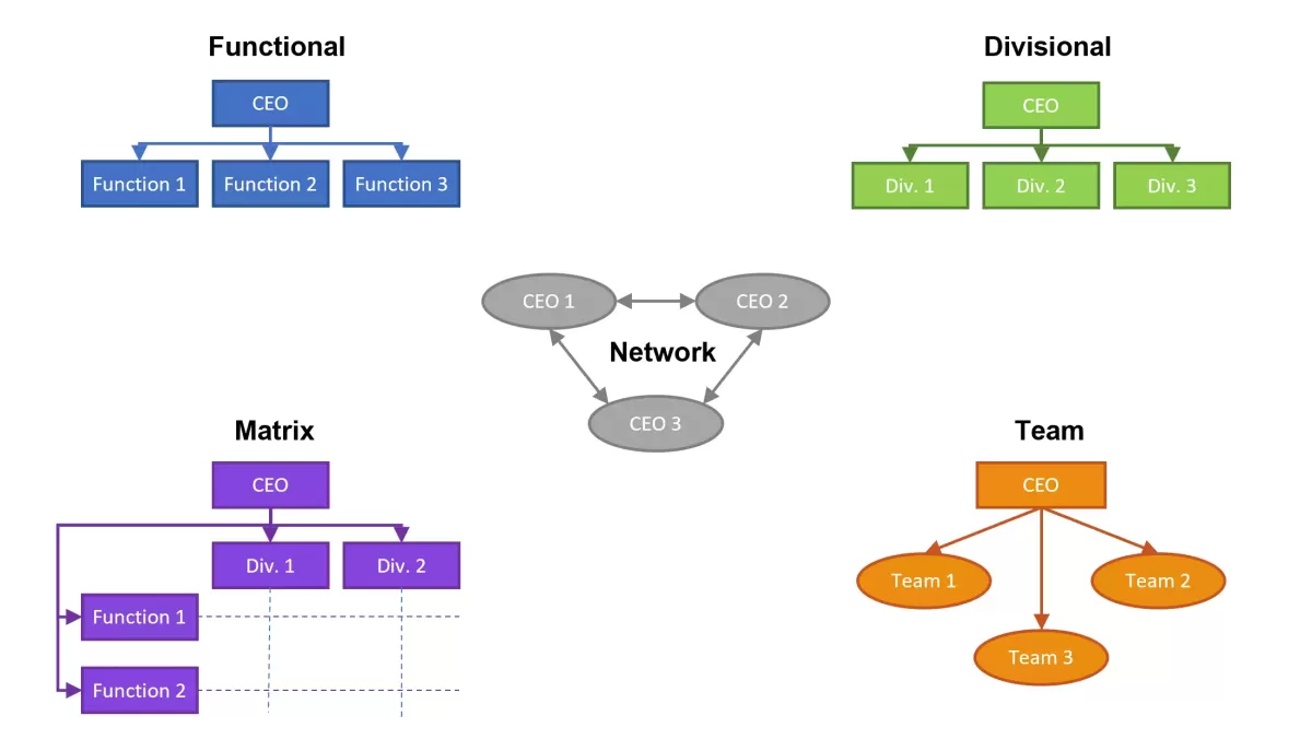 5 types of organisation structure: Which one for your business?